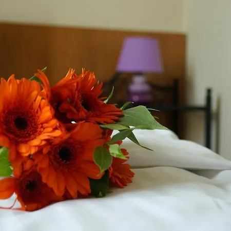Hotel Gut Stadt 3*