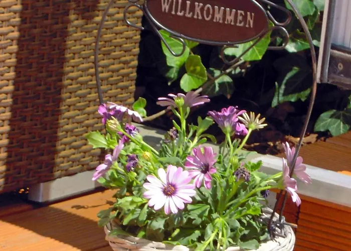 Gut Stadt بيليتس