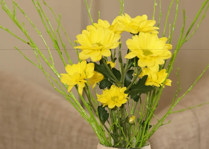 فندق Gut Stadt بيليتس